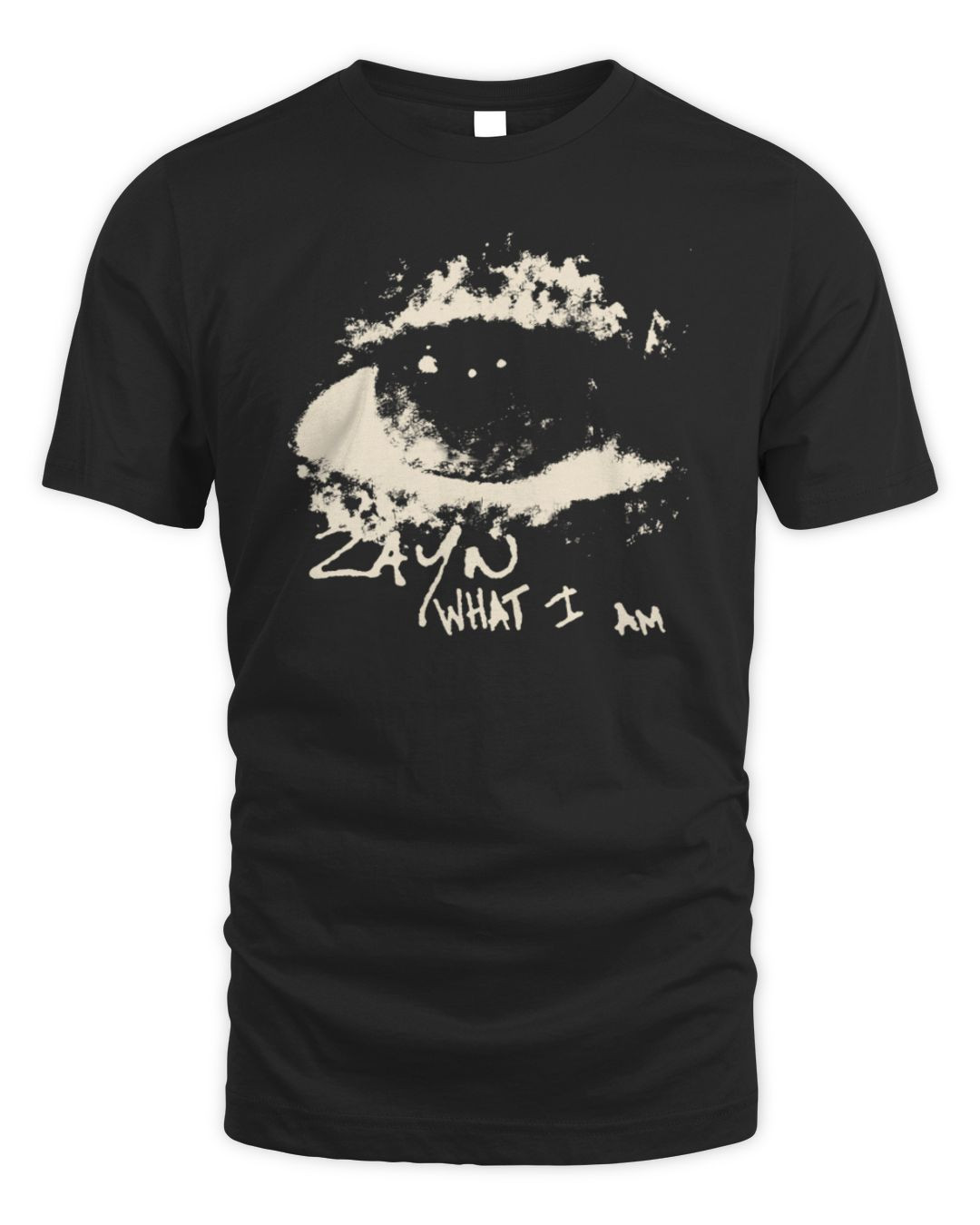 Zayn Malik Merch Store What I Am Hoodie Sweatshirt All Merch